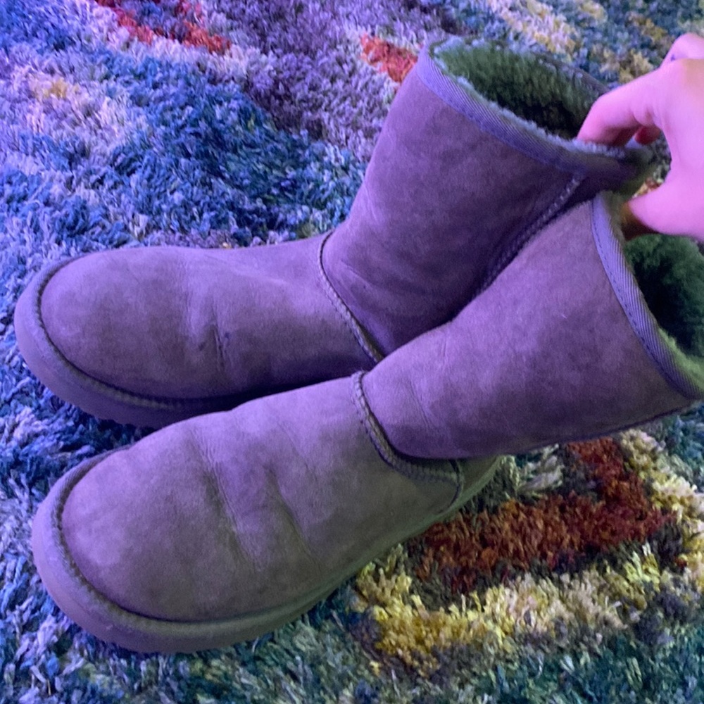 Grey uggs